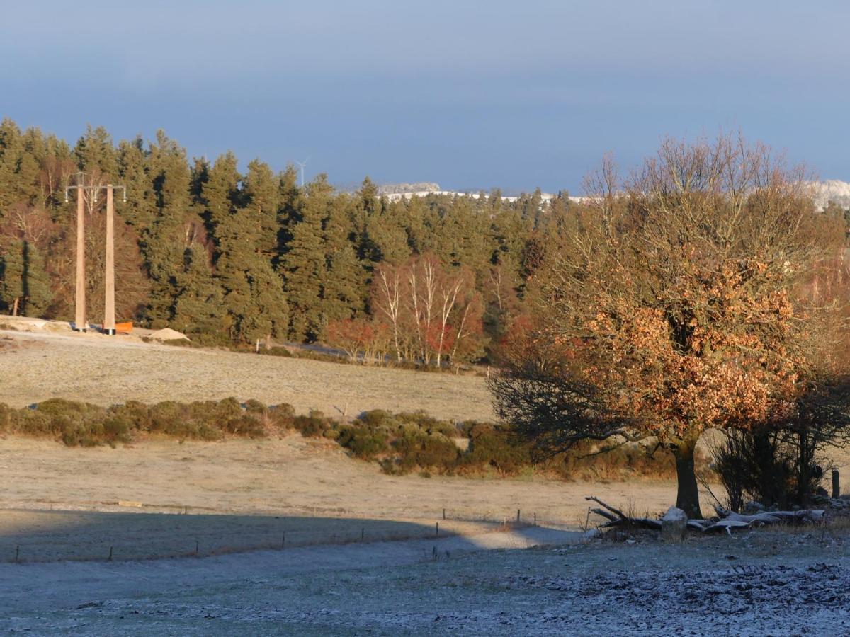 Gite De Fontanes Aubrac Margeride Loups Du Gevaudan Lozere Villa Saint-Sauveur-de-Peyre Exterior photo